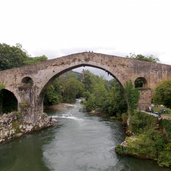 DSCN0498